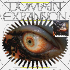 Domain Expansion