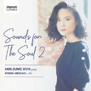 Sounds For The Soul 2