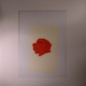 Lany (B-STOCK)