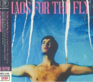 Chaos For The Fly