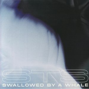 Swallowed By A Whale