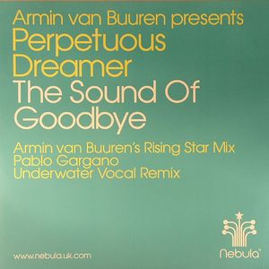 The Sound Of Goodbye