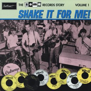 The Soma Records Story Volume 1 (Shake It For Me!)