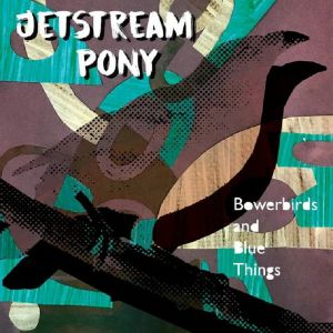 Bowerbirds & Blue Things