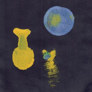 Fogesque II