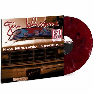 New Miserable Experience (reissue)