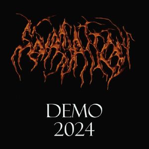 Demo 2024
