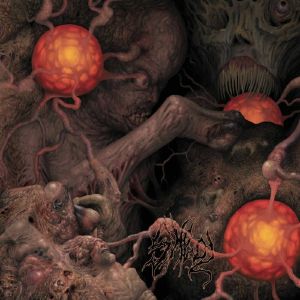 Sheol: 4 Way Split