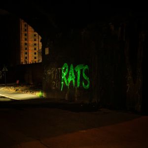 Rule The World