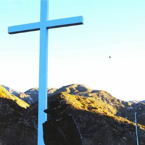 I Lay Down My Life For You (Director's Cut)
