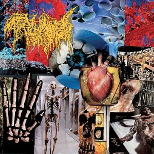 Harvest Of The Killing Fields
