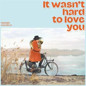 It Wasn't Hard To Love You