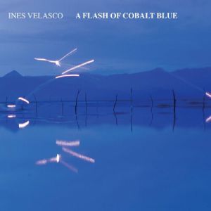 A Flash Of Cobalt Blue