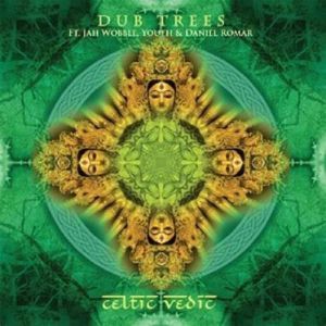 Celtic Vedic (reissue)