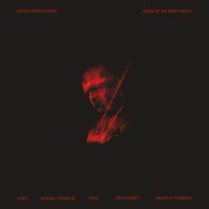 Song Of The Night Mists