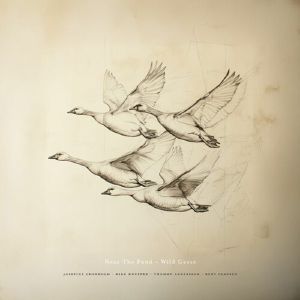 Wild Geese