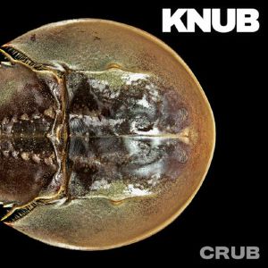 Crub