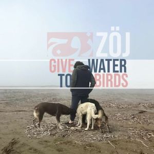 Give Water To Birds