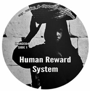 Human Reward System