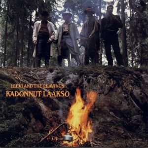Kadonnut Laakso (reissue)