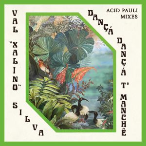 Danca Danca T'Manche (Acid Pauli mixes)