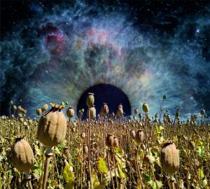 Horizons Of Events