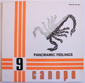 Panoramic Feelings