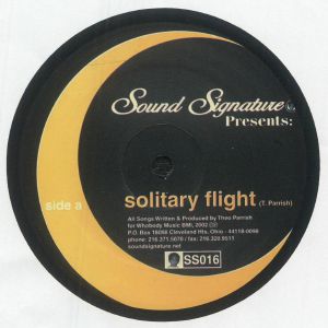 Theo Parrish Solitary Flight (reissue with live mix)