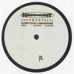 techno/techhouse未使用レコード30枚C Minimal / Tech House | cpvinyl ￥3,300以上の購入で「送料無料