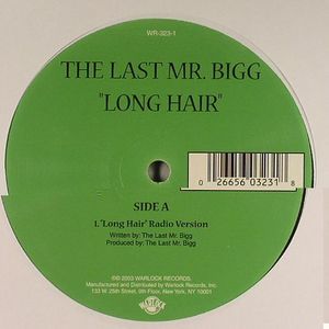 i got long hair mr biggs lyrics