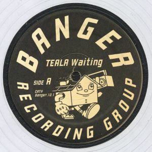 TEALA – Waiting vinyl cover