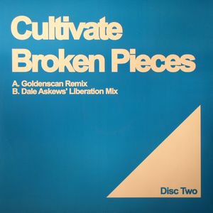 Broken Pieces