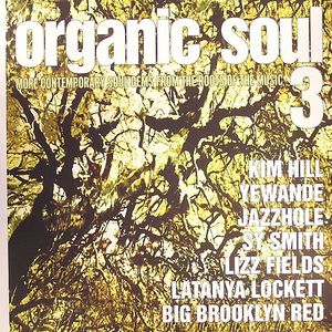 Organic Soul 3 (More Contemporary Soul Gems From The Roots Of The Music) 