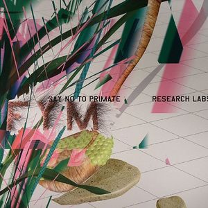 Say No To Primate Research Labs
