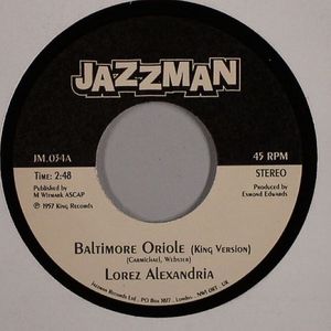 Baltimore Oriole
