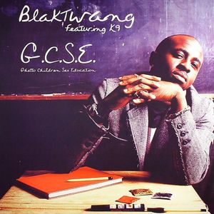 GCSE (Ghetto Children Sex Education)
