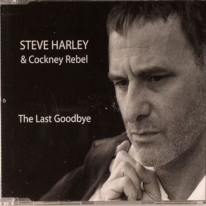The Last Goodbye