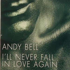 I'll Never Fall In Love Again