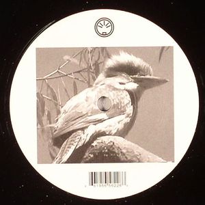 Kookaburra