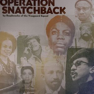 Operation Snatchback