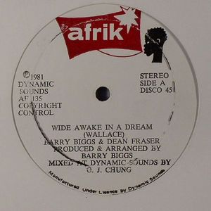 Wide Awake In A Dream