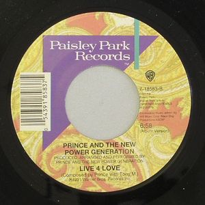 Princely power essay 06 picture