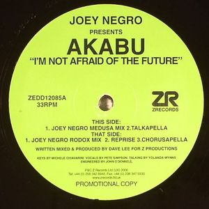 I'm Not Afraid Of The Future