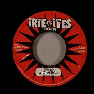 Wake Up Call (Borderline Riddim)