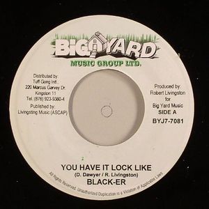 You Have It Lock Like (Lava Riddim)