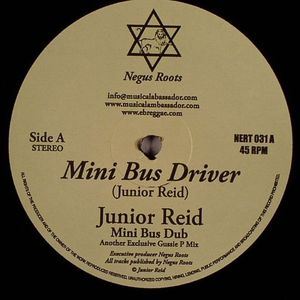 Mini Bus Driver