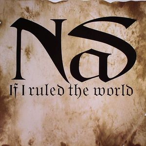 If I Ruled The World