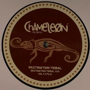 Destination Tribal EP Vol 1 Pt 2