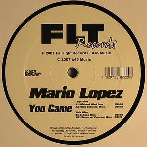 You Came (remixes)