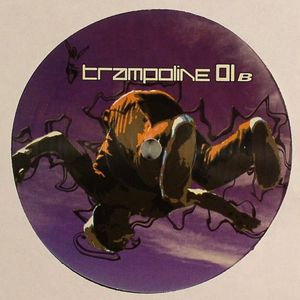 Trampoline 01 B